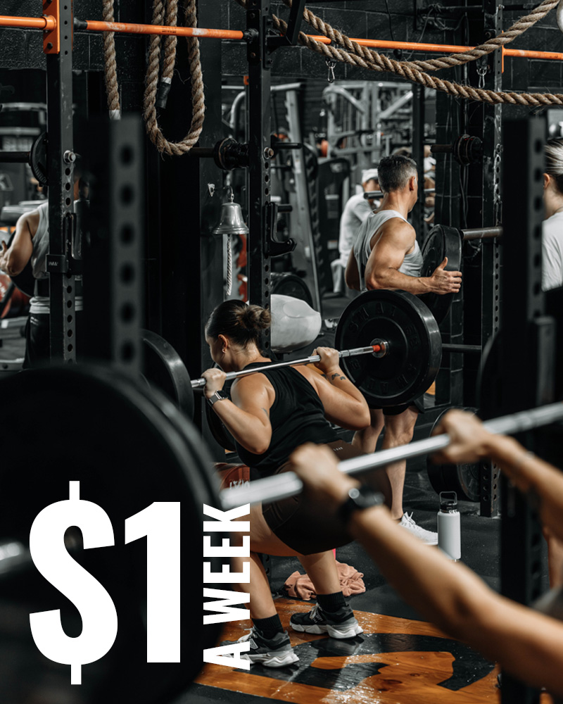 Gym-Offer-$1-WEEK